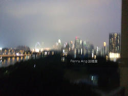 The Riverine By The Park (D12), Apartment #142713042